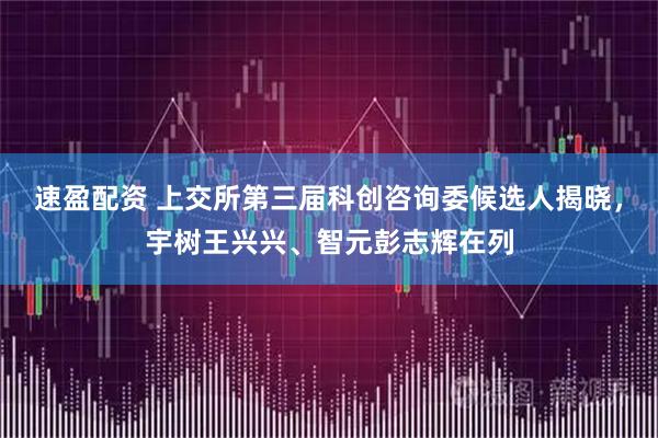 速盈配资 上交所第三届科创咨询委候选人揭晓，宇树王兴兴、智元彭志辉在列