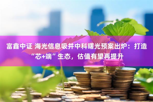 富鑫中证 海光信息吸并中科曙光预案出炉：打造“芯+端”生态，估值有望再提升