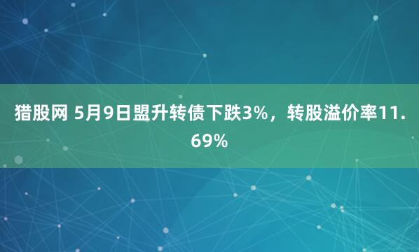 猎股网 5月9日盟升转债下跌3%，转股溢价率11.69%