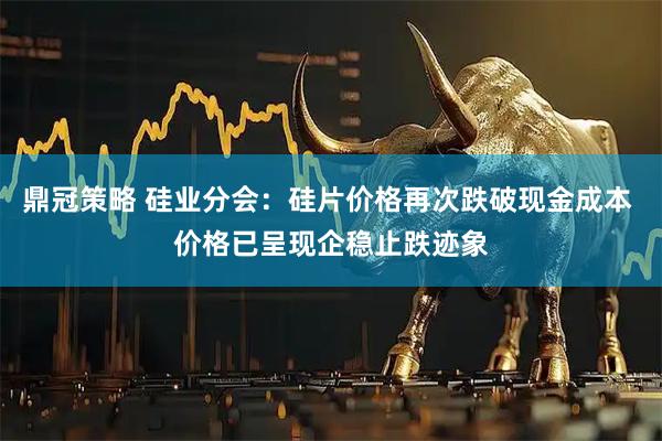 鼎冠策略 硅业分会：硅片价格再次跌破现金成本 价格已呈现企稳止跌迹象