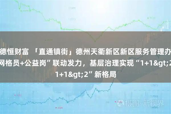 德恒财富 「直通镇街」德州天衢新区新区服务管理办公室：“网格员+公益岗”联动发力，基层治理实现“1+1>2”新格局