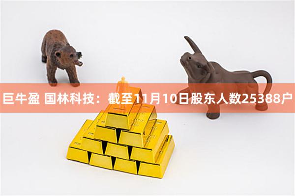 巨牛盈 国林科技：截至11月10日股东人数25388户